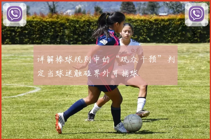 详解棒球规则中的“观众干预”判定当球迷触碰界外可捕球
