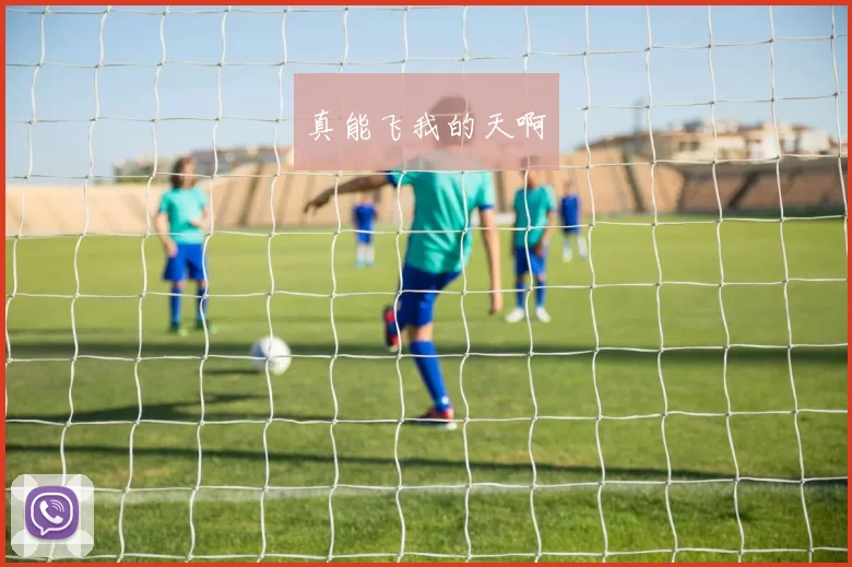 真能飞我的天啊