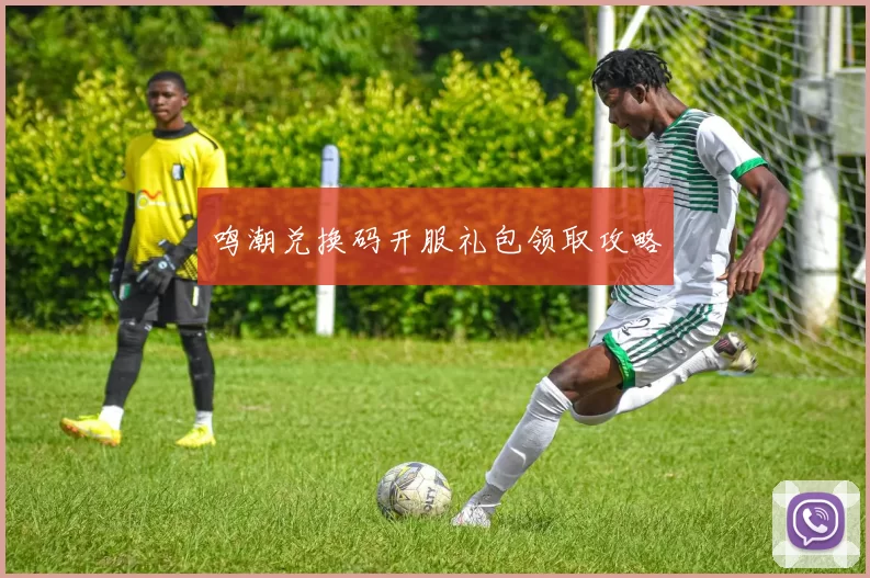 鸣潮兑换码开服礼包领取攻略