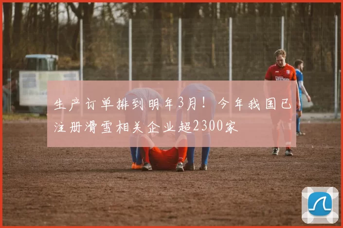 生产订单排到明年3月！今年我国已注册滑雪相关企业超2300家