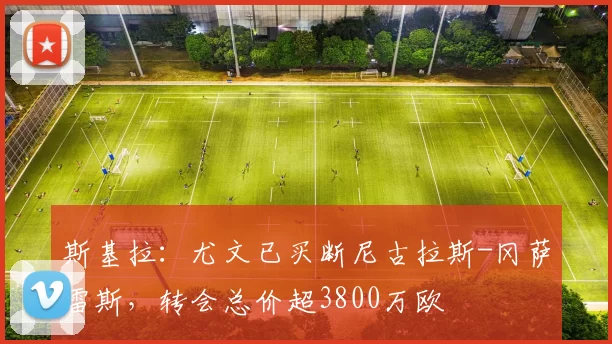 斯基拉：尤文已买断尼古拉斯-冈萨雷斯，转会总价超3800万欧