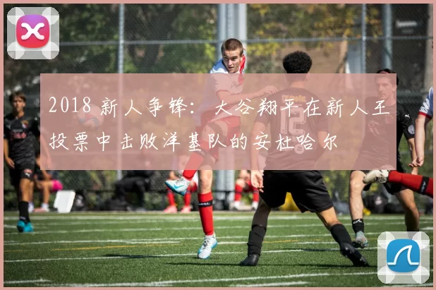 2018 新人争锋：大谷翔平在新人王投票中击败洋基队的安杜哈尔