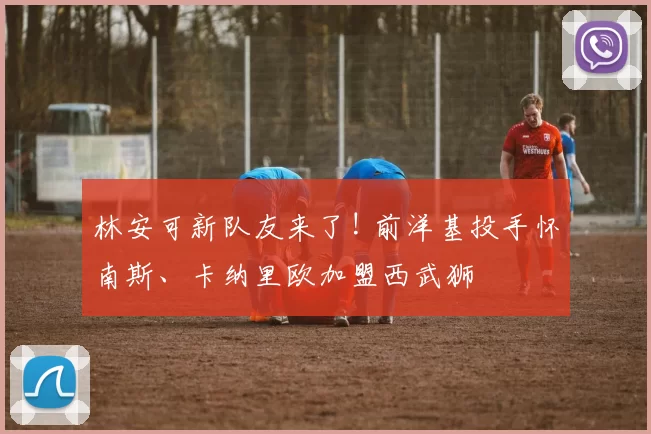 林安可新队友来了! 前洋基投手怀南斯、卡纳里欧加盟西武狮