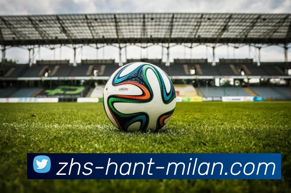 米兰官网平台生态图